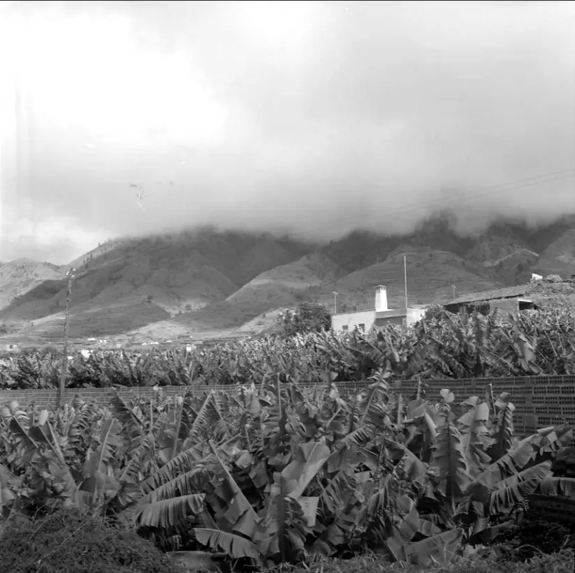 Los Llanos de Aridane